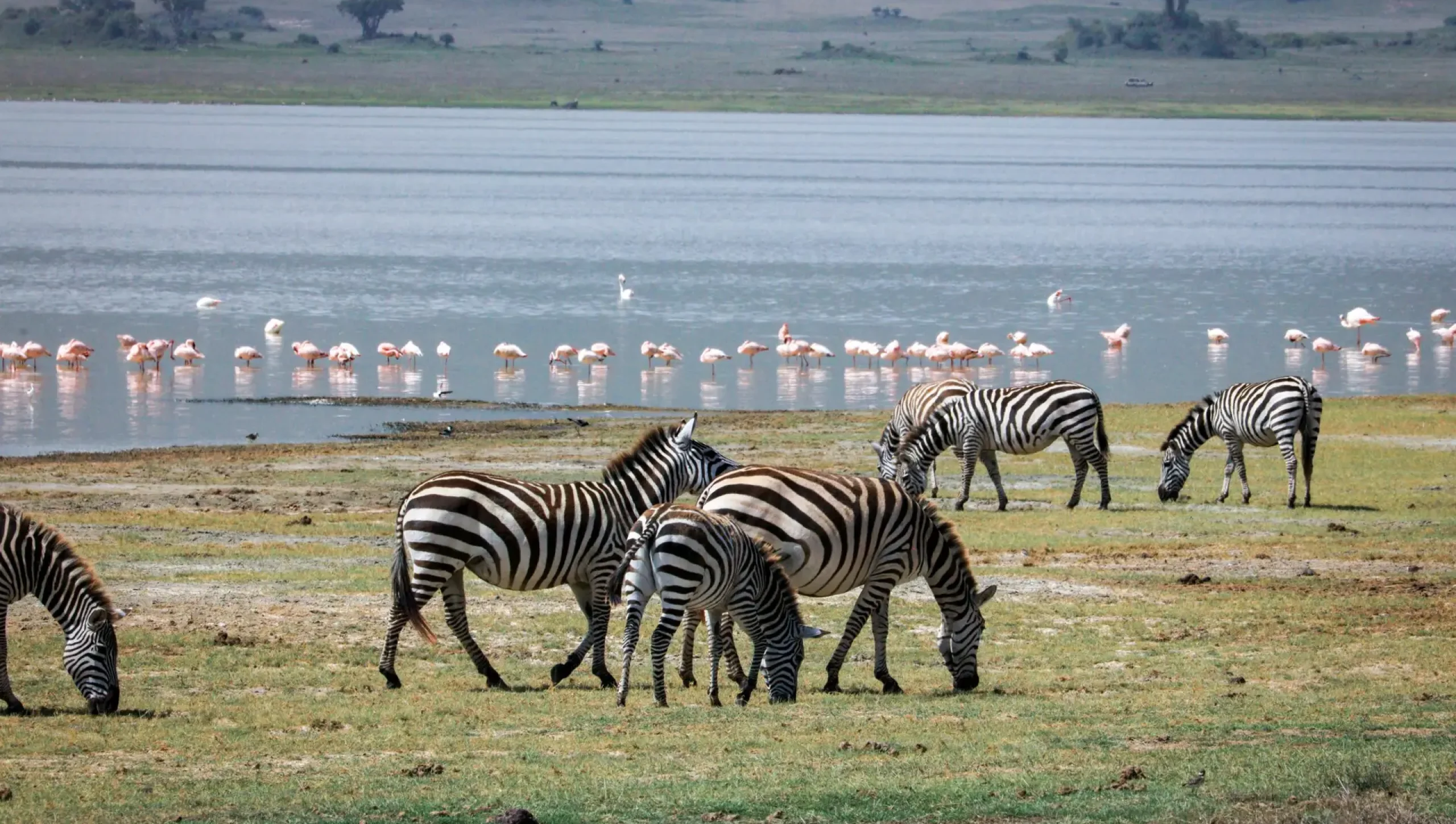 pexels-kilinge-adventures-1983321-12573131